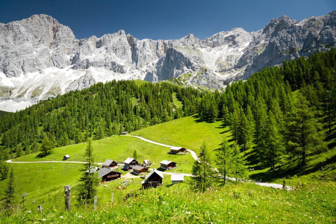 Apartman Ramsau Ramsau am Dachstein Exterior photo